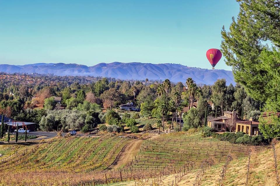 best wineries in Temecula - Callaway Vineyard and Winery