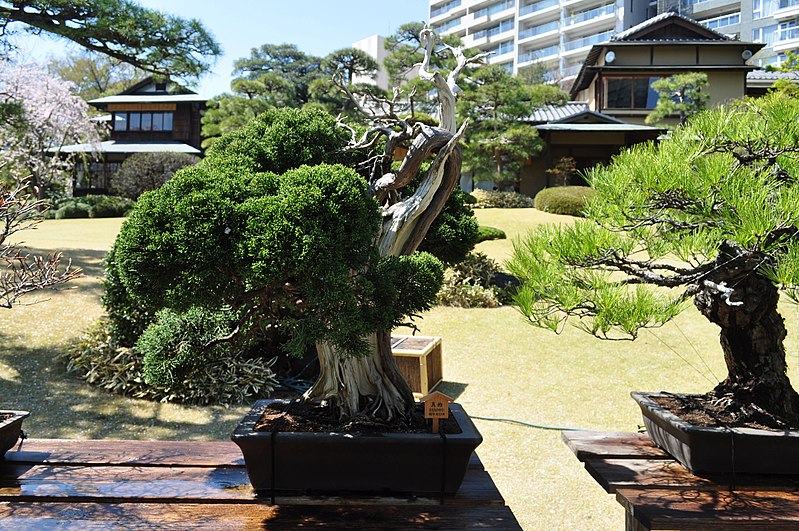 coolest places to visit in Tokyo - Happo-en Japanese Garden
