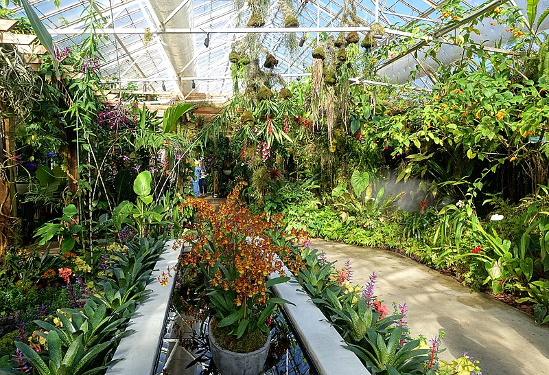 things to do in sarasota - Marie Selby Botanical Gardens