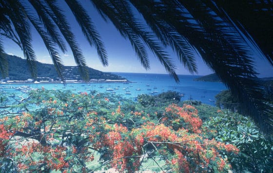 5-best-st-thomas-all-inclusive-hotels-trekbible