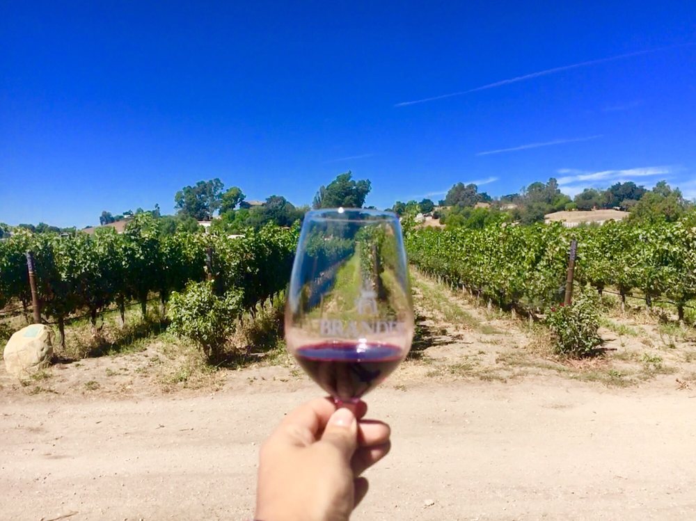 Santa Barbara wineries - Brander Vineyard