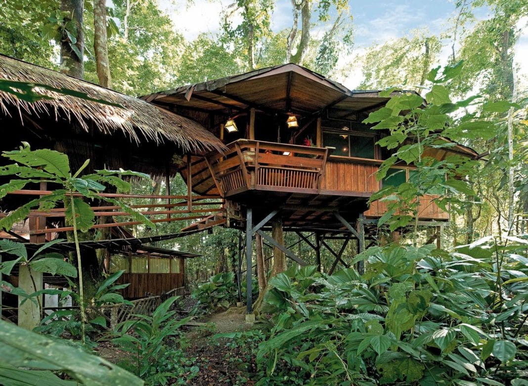 world’s coolest treehouse hotels - Tree House Lodge, Limon, Costa Rica
