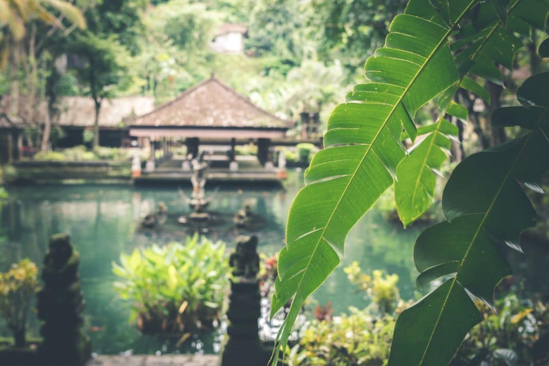 things to do in bali