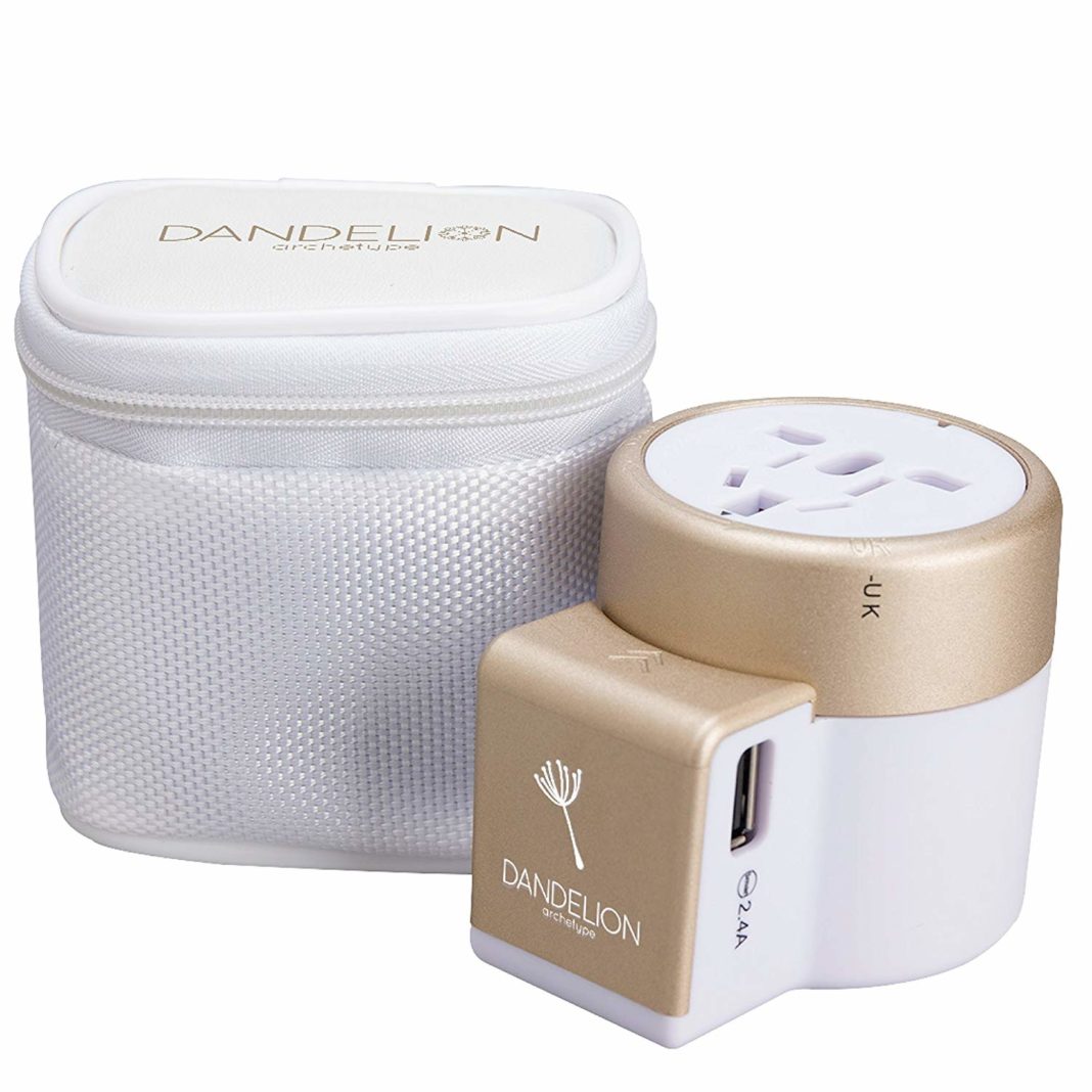 best travel adapter - Dandelion Archetype