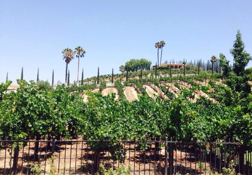 best wineries in Temecula - Baily Vineyard & Winery