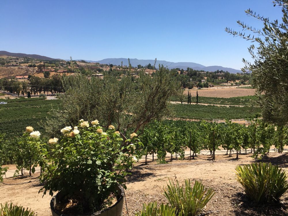 best wineries in Temecula - Cougar Vineyards & Winery