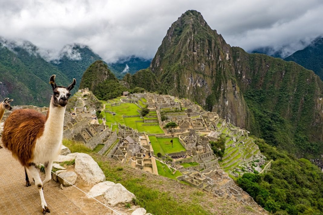 Machu Picchu Facts - Llamas