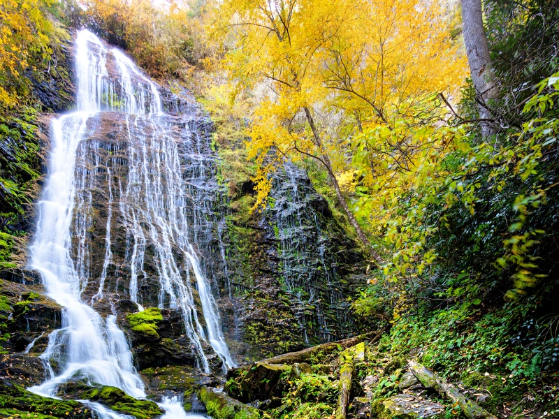 Half-Day Waterfall Adventure – Scenic Asheville Tour in Pisgah Forest