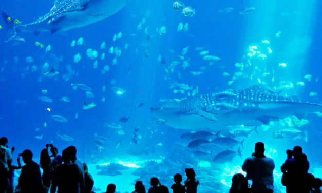 Atlanta CityPASS – 5 Top Attractions, One Low Price