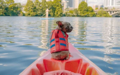 Austin Sunset Kayak and Bat Tour