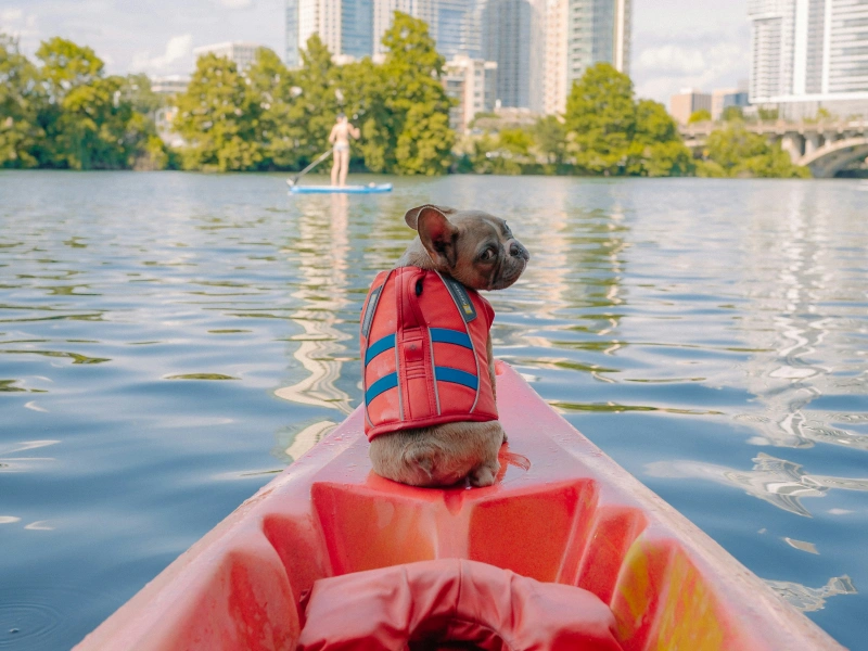 Austin Sunset Kayak and Bat Tour