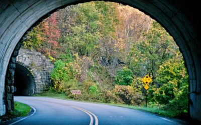 Blue Ridge Parkway Driving Tour – Asheville Scenic Experience