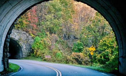 Blue Ridge Parkway Driving Tour – Asheville Scenic Experience