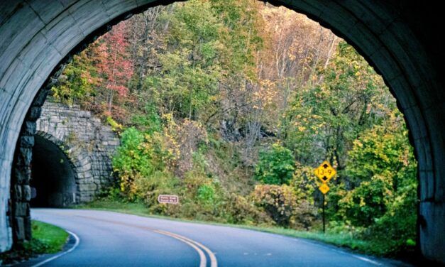 Blue Ridge Parkway Driving Tour – Asheville Scenic Experience