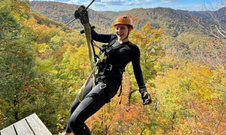 Zipline Canopy Adventure Near Asheville – Soar Over the Forest