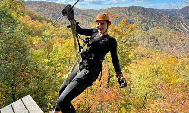 Zipline Canopy Adventure Near Asheville – Soar Over the Forest