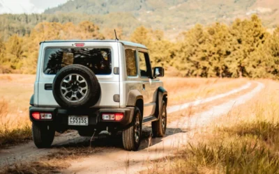 Elk Safari Jeep Tour in the Smokies – Asheville Wildlife Adventure