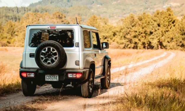 Elk Safari Jeep Tour in the Smokies – Asheville Wildlife Adventure