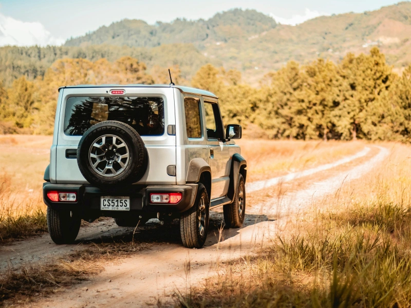 Elk Safari Jeep Tour in the Smokies – Asheville Wildlife Adventure