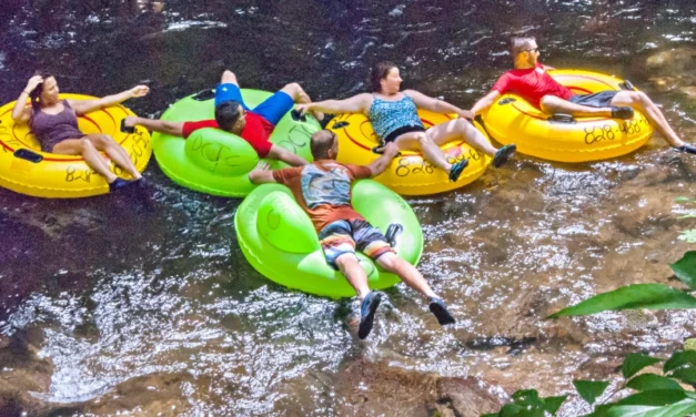 Tubing on the French Broad – Relaxing Asheville River Tour