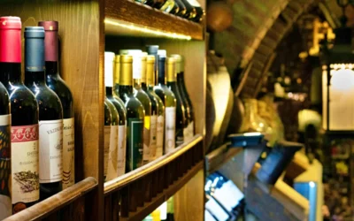 North Georgia Wine and Shopping Tour