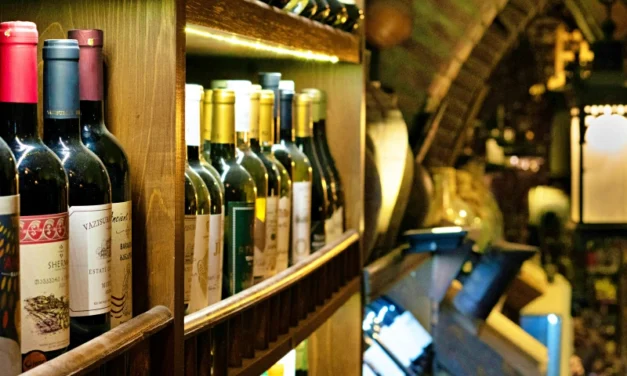 North Georgia Wine and Shopping Tour