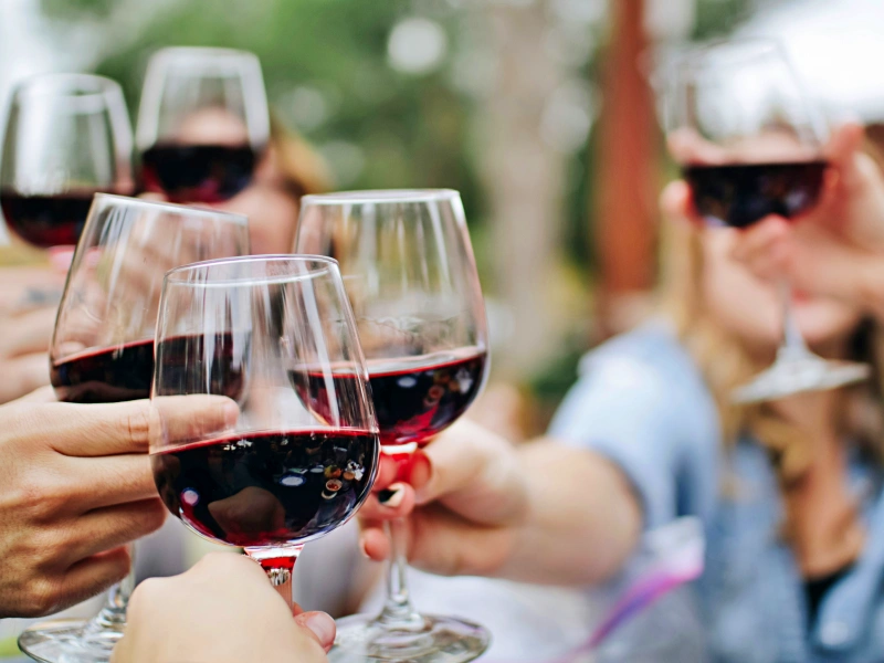 North Georgia Wine Tour – Day Trip from Atlanta to the Vineyards