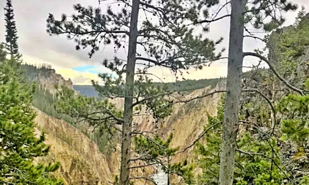 Explore Yellowstone’s Grand Canyon Rim on a Guided Hiking Tour