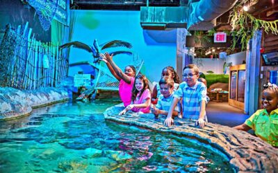 This Museum Is One Of The Most Underrated In NC