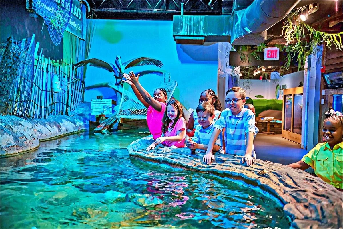 catawba science aquarium-color Children enjoy the aquarium at the Catawba Science Center in Hickory